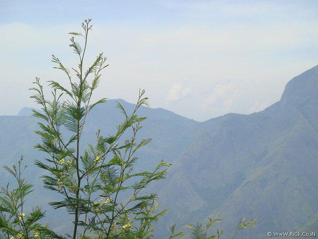 DSC02199