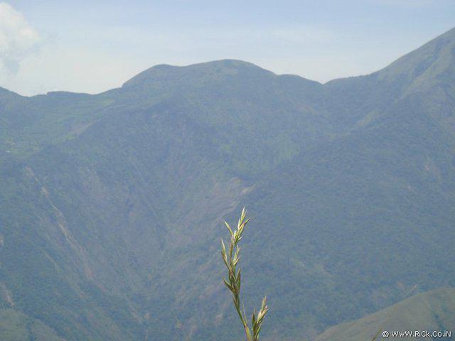 DSC02205