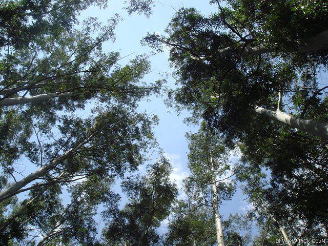 DSC02289