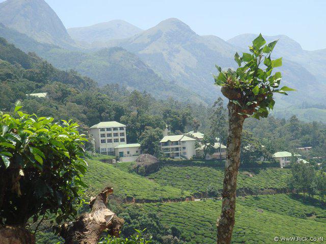 DSC02428