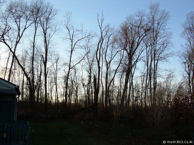 DSCN0062