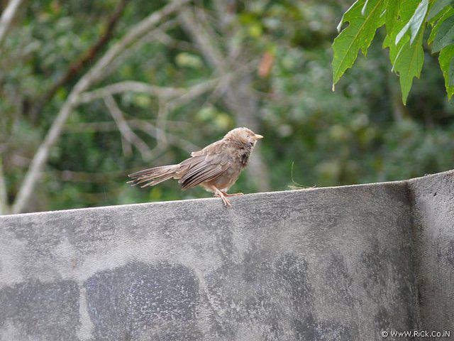 P1000101