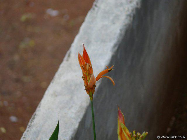 P1000108