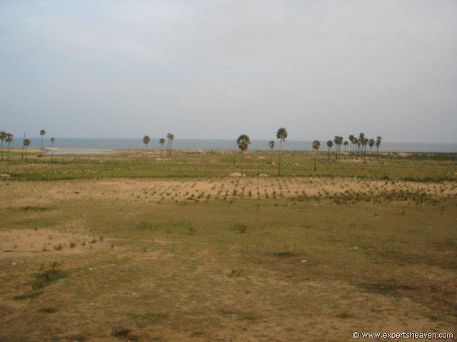 DSC01294
