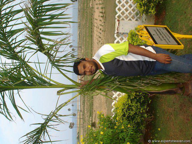 DSC01301