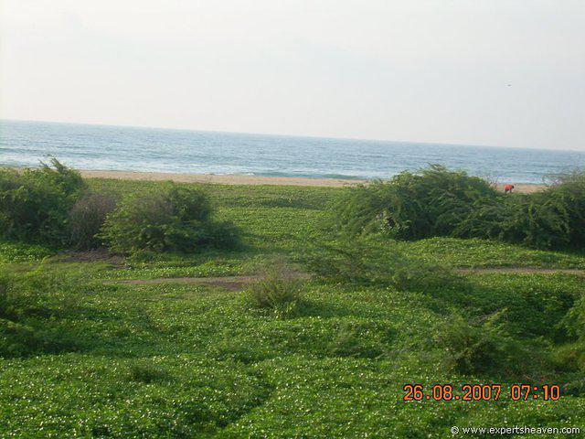 DSCN2303
