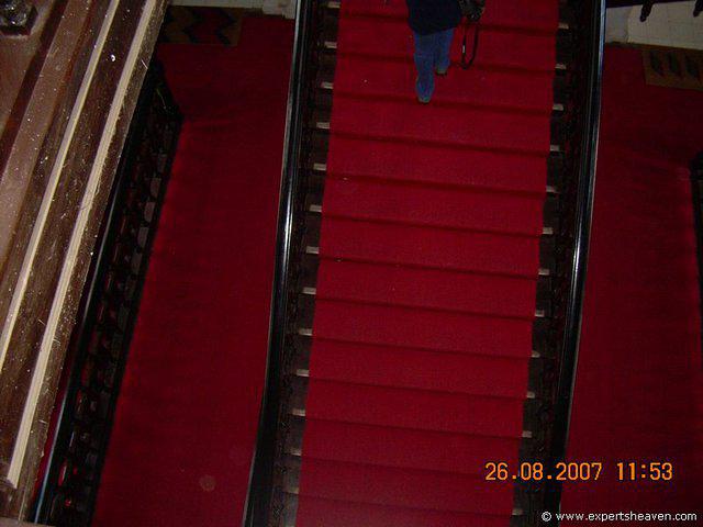 DSCN2339