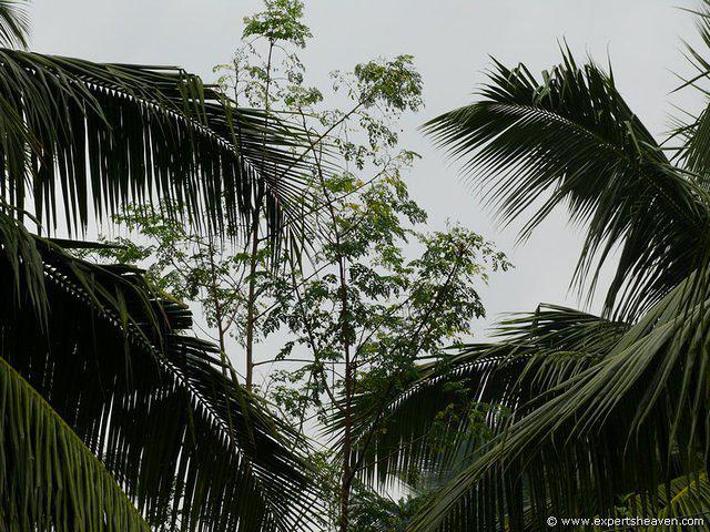 P1000089