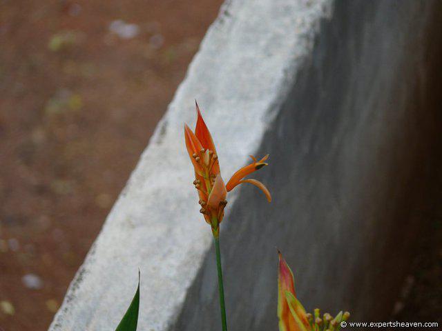 P1000108