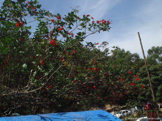 DSC02090