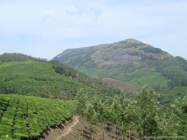 DSC02094