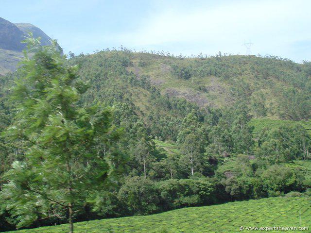 DSC02096