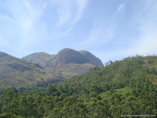 DSC02097