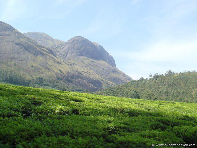 DSC02100