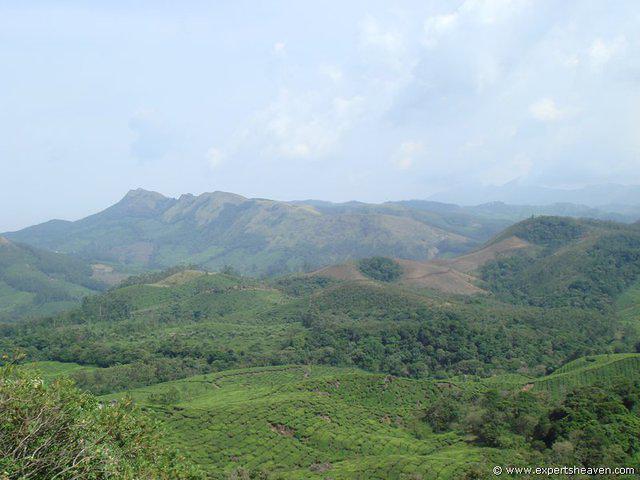 DSC02108