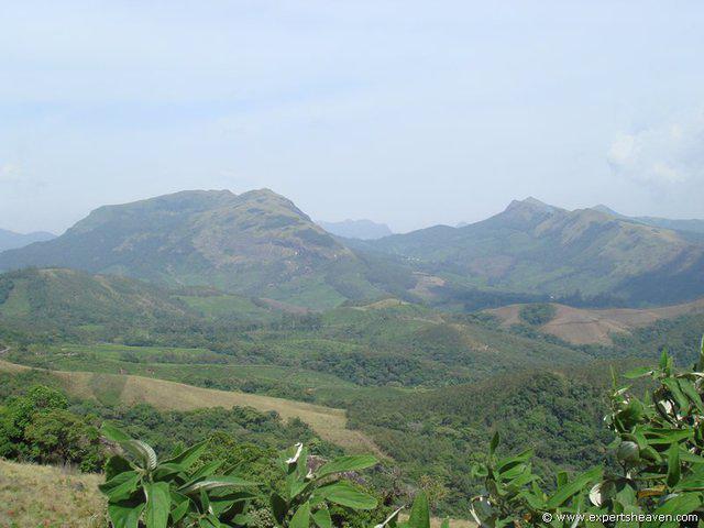 DSC02116