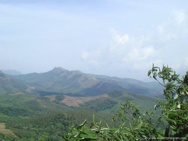 DSC02117
