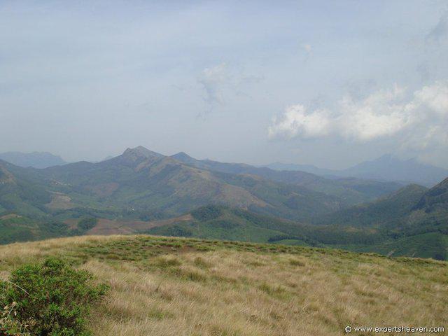 DSC02131
