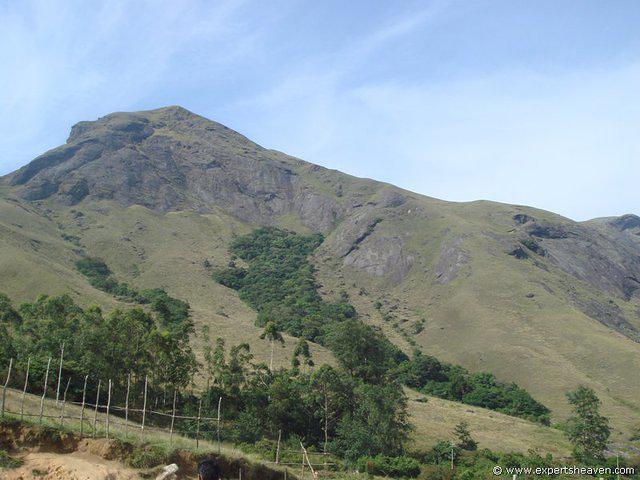 DSC02132