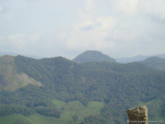 DSC02137