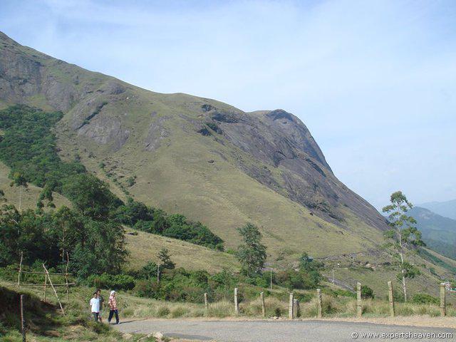DSC02141