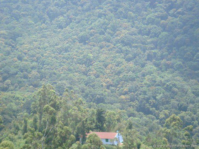 DSC02175