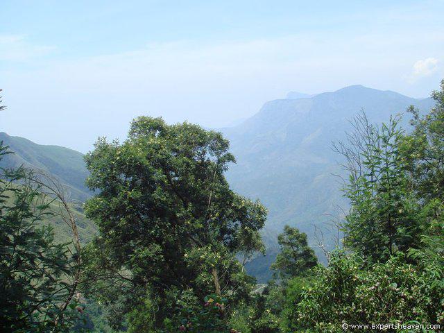 DSC02180