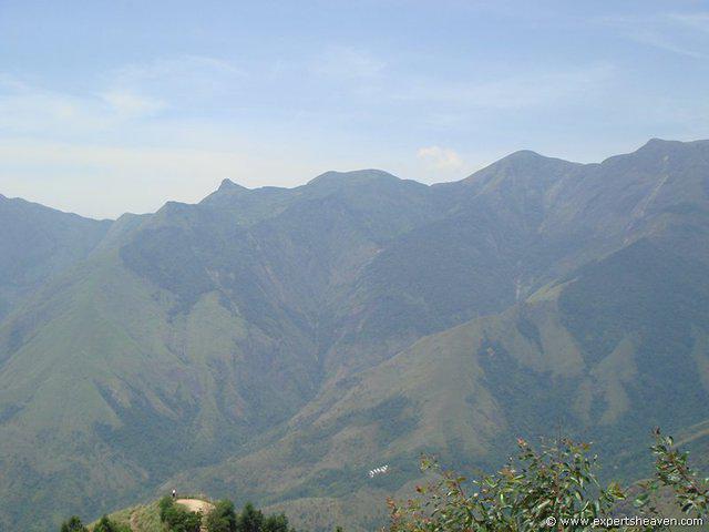 DSC02186