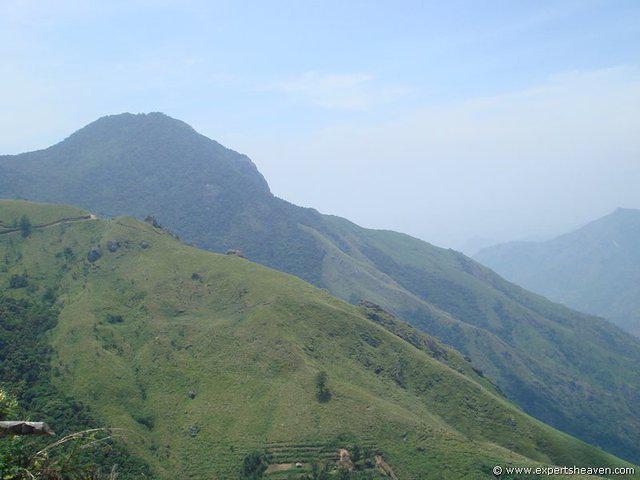 DSC02192