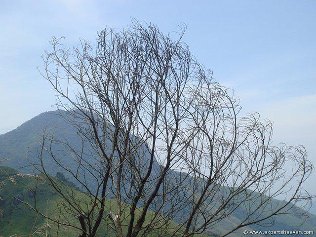 DSC02198