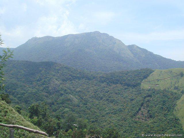 DSC02201