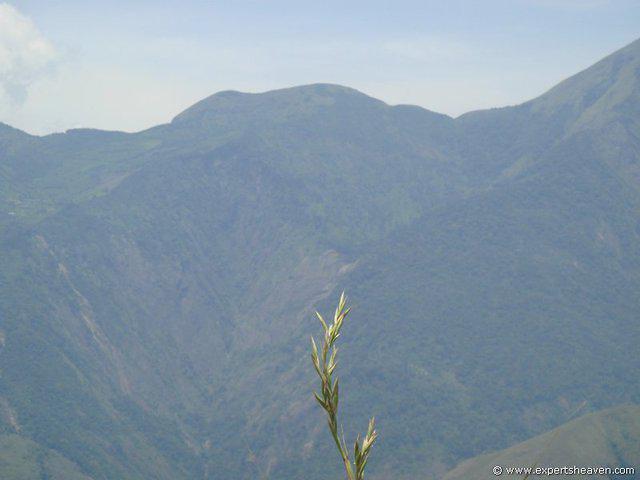 DSC02205