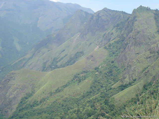 DSC02206