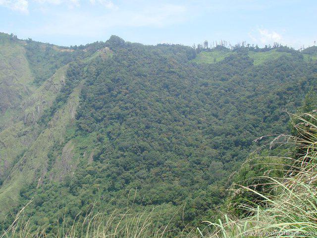 DSC02207