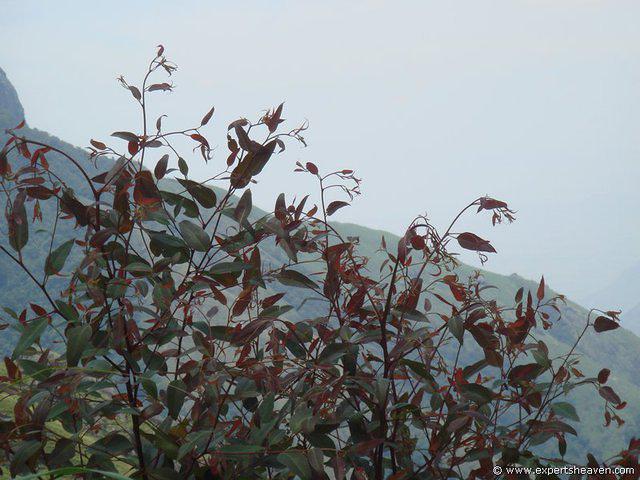 DSC02219
