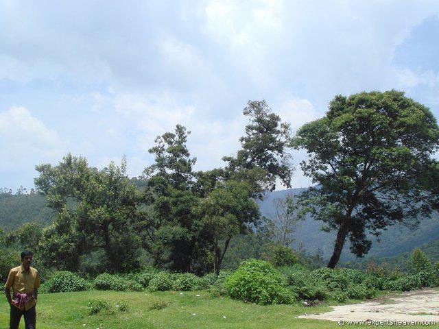 DSC02247