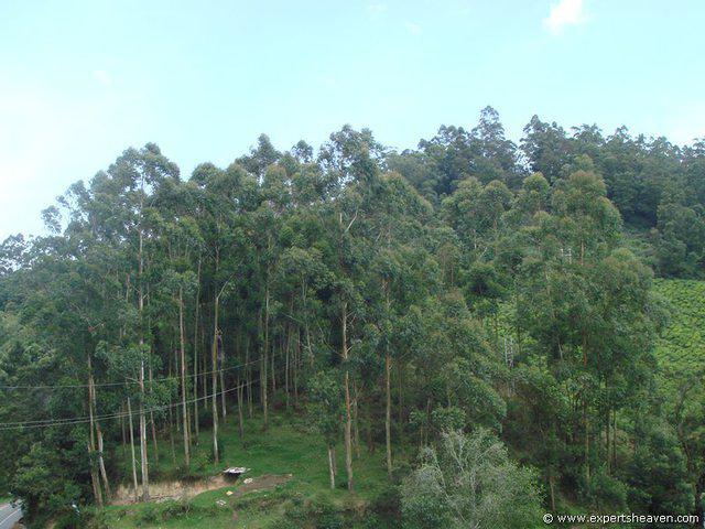 DSC02273