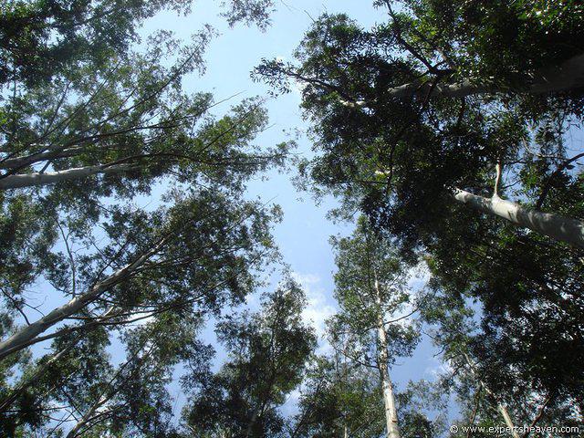 DSC02289
