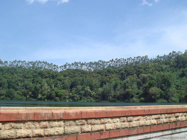 DSC02294