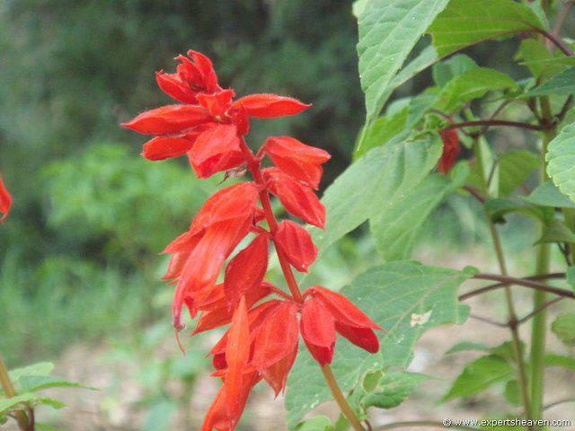 DSC02317