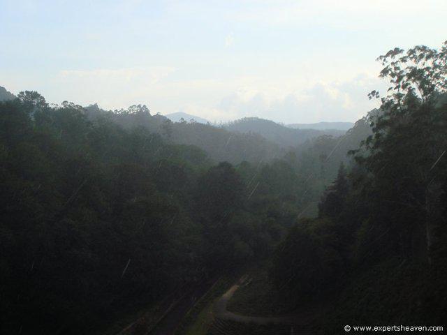 DSC02338