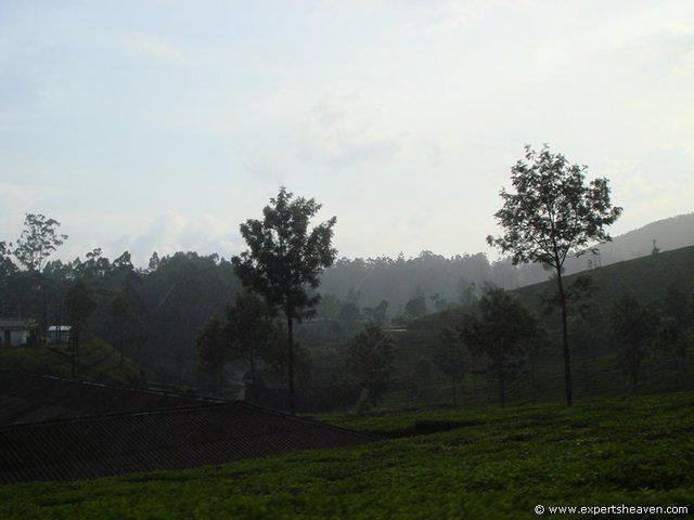 DSC02341