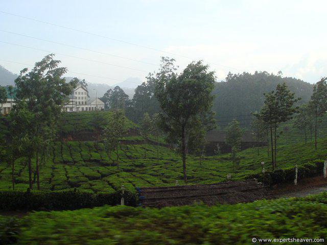 DSC02342