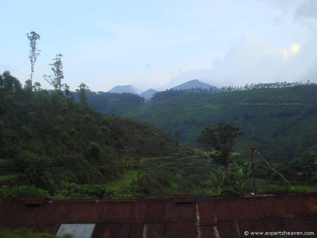 DSC02348