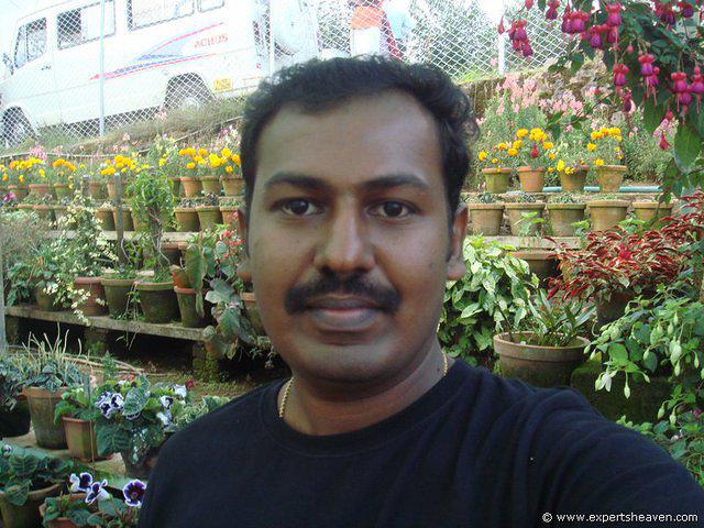 DSC02379