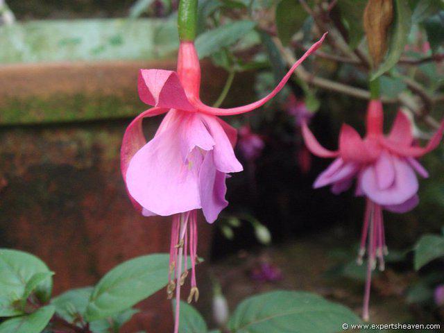 DSC02380