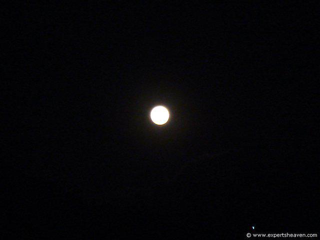 DSC02400