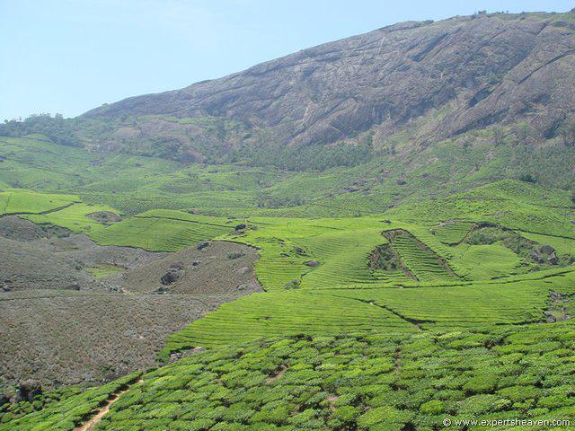 DSC02401
