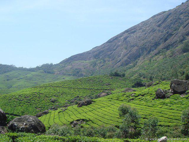 DSC02406
