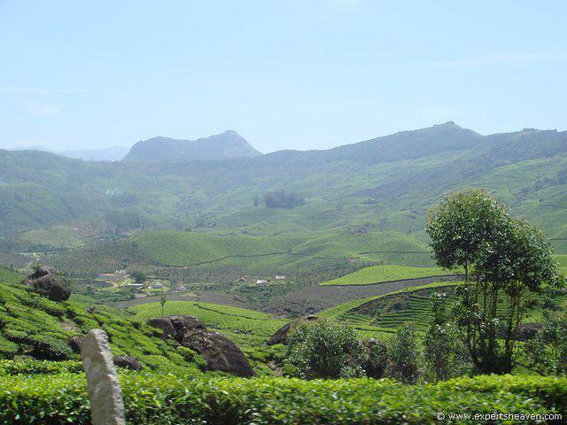 DSC02407